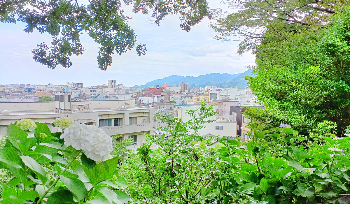 井宮神社からの風景